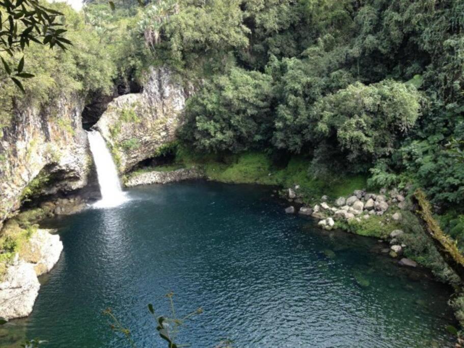 Villa Du Beau Vallon 2 Jacuzzi Privatif Et Piscine Chauffee Partagee Saint-Benoît Esterno foto
